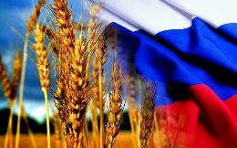 Владимир Путин: Россия является самым крупным экспортером пшеницы в мире